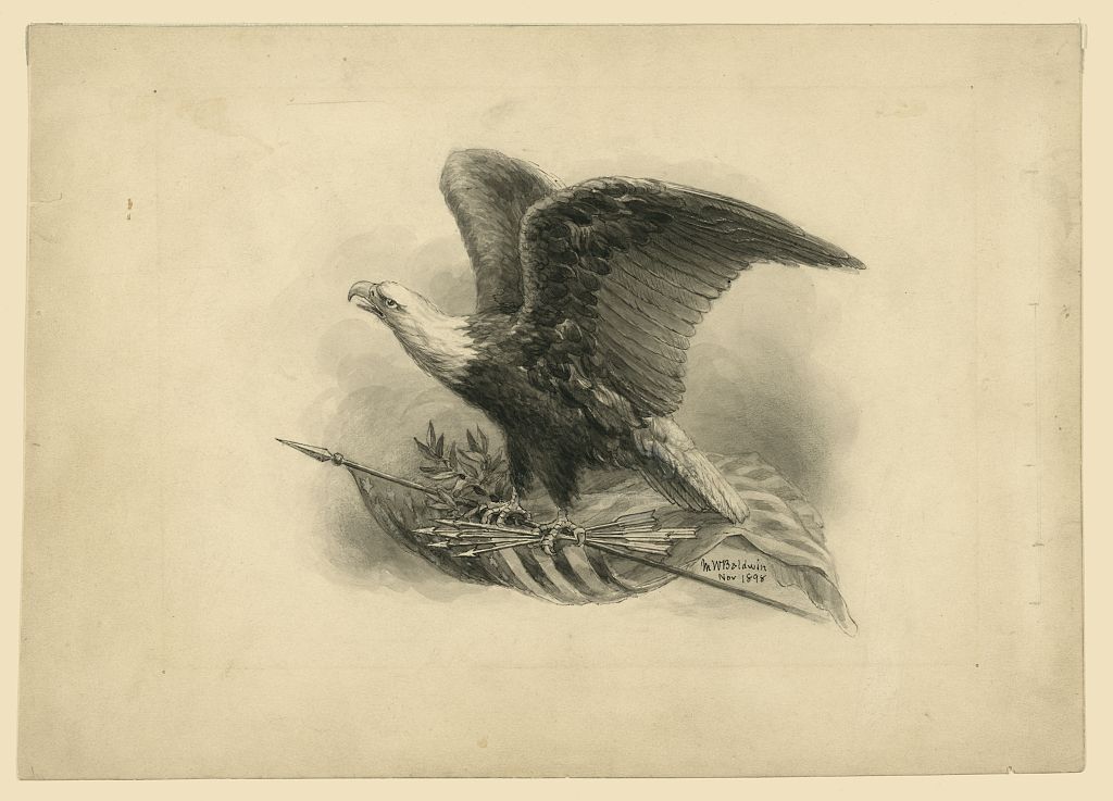 Public-domain American eagle drawing from the Library of Congress
